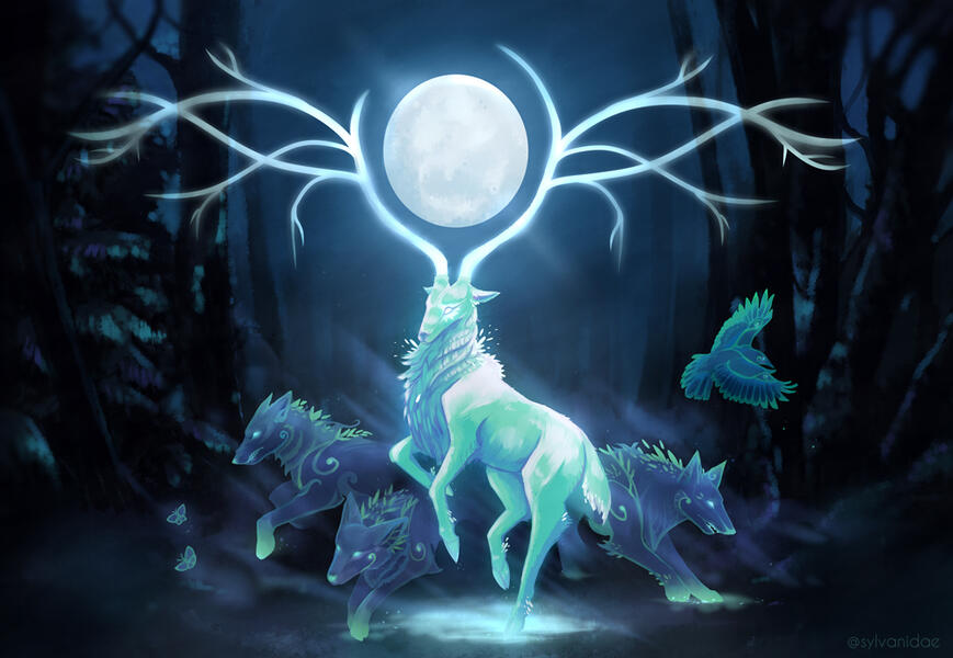 Midwinter Moon Midwinter Moon